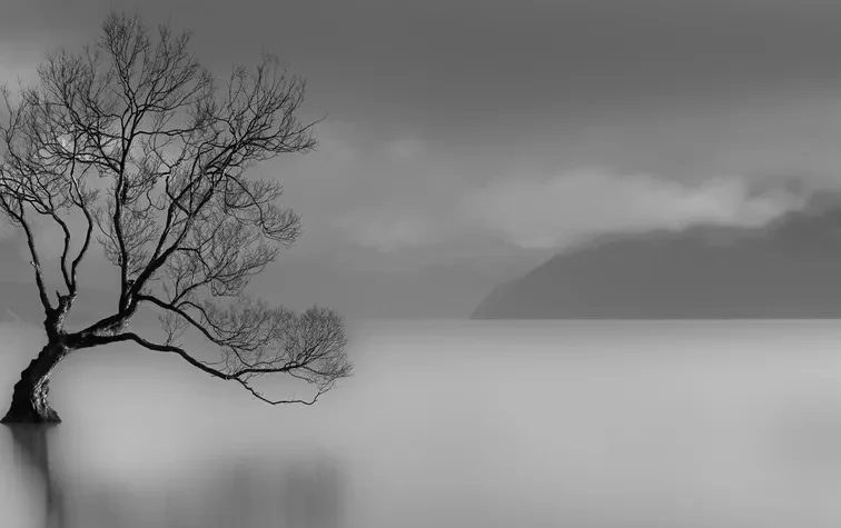 More Than the Winter Blues: Seasonal Affective Disorder